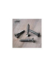4 GOTOH Tele Bass Saitenhalter-Schrauben, Chrom, 3,8x25mm