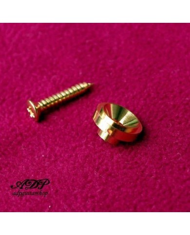 Gold Saitenführung für Telecaster + Schrauben