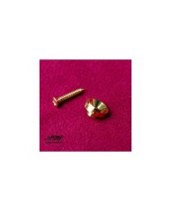 Gold Saitenführung für Telecaster + Schrauben