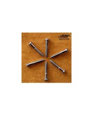6 verchromte Gotoh Schrauben 3.5x25mm für Vintage Strat Tremolo