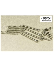 Kit Vis Humbucker 4x0.85x30mm 4x2 contours micros+ressorts Screws Springs Nickel