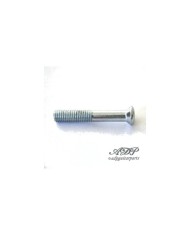 1 Schraube für 3-Loch-Halsplatte, AllParts