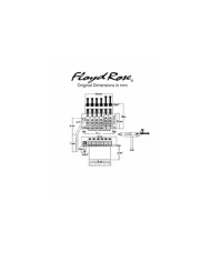 Authentique vibrato Floyd Rose Special Noir