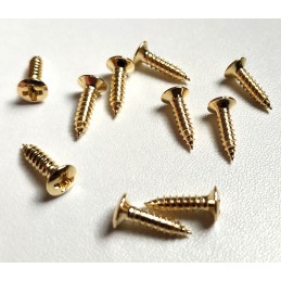 12 Gold 3 x 12mm screws...