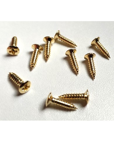12 Fender Gold Schrauben 3 x 12mm für Pickguard und Hardware