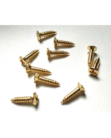 12 Fender Gold Schrauben 3 x 12mm für Pickguard und Hardware