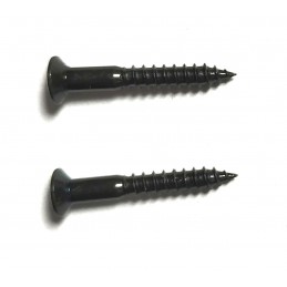 2 Black 3,5 x 25mm screws...