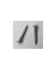 2 Chrome 3,5 x 25mm screws for Telecaster bridge or Strap locks fender style