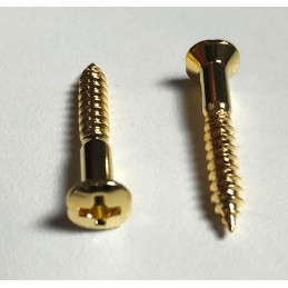 2 Gold 3,5 x 25mm screws...
