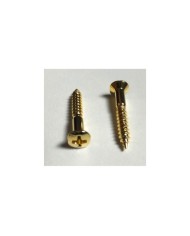 2 goldene Schrauben 3,5 x 25mm für Telecaster-Saitenhalter oder Fender-Style Gurtpin