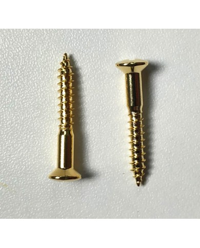 2 goldene Schrauben 3,5 x 25mm für Telecaster-Saitenhalter oder Fender-Style Gurtpin