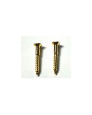 2 Gold 3,5 x 25mm screws for Telecaster bridge or Strap locks fender style