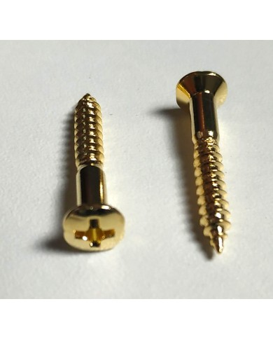 10 vergoldete Schrauben 3,5 x 25mm für Telecaster-Saitenhalter oder Gurtpin im Fender-Stil