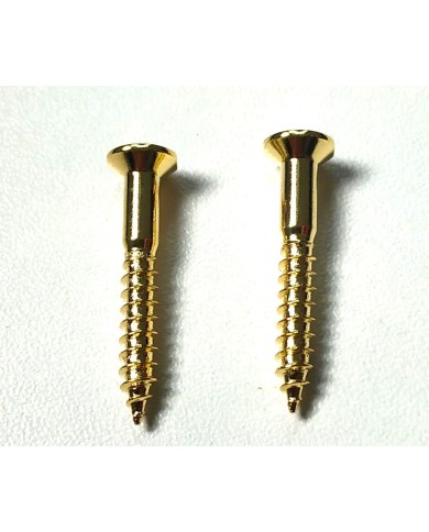 10 vergoldete Schrauben 3,5 x 25mm für Telecaster-Saitenhalter oder Gurtpin im Fender-Stil