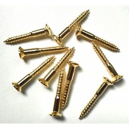 10 Gold 3,5 x 25mm screws...
