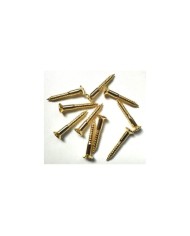 10 vergoldete Schrauben 3,5 x 25mm für Telecaster-Saitenhalter oder Gurtpin im Fender-Stil
