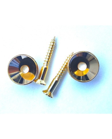 2 Gurtpins Gold im Stratocaster-Stil + Schrauben