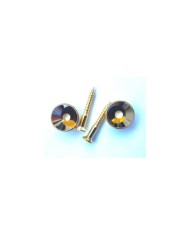 2 Gurtpins Gold im Stratocaster-Stil + Schrauben