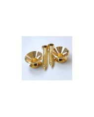 2 Gurtpins Gold im Stratocaster-Stil Typ Gotoh + Schrauben