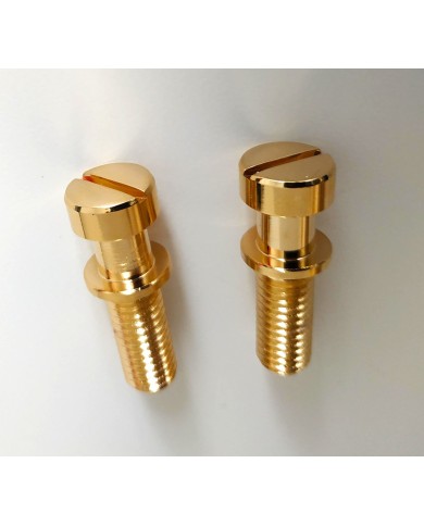 Metrische goldene Befestigungsschrauben 8 mm für Stopbar-Saitenhalter
