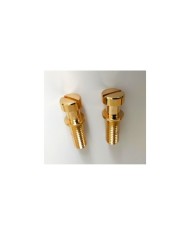 Metrische goldene Befestigungsschrauben 8 mm für Stopbar-Saitenhalter