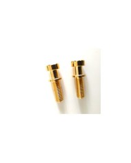 Metrische goldene Befestigungsschrauben 8 mm für Stopbar-Saitenhalter
