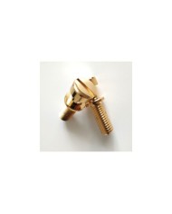 Metrische goldene Befestigungsschrauben 8 mm für Stopbar-Saitenhalter
