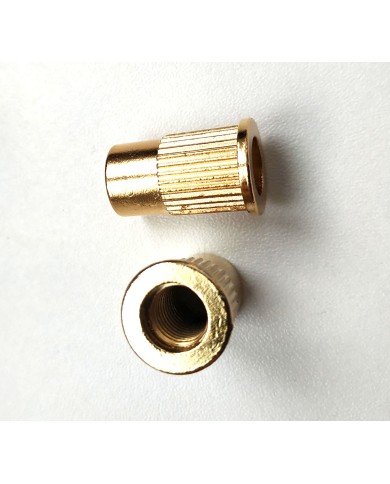 2 metrische Einsätze gold, Durchmesser 12 mm, für Stoptail-Saitenhalter