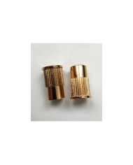 2 metrische Einsätze gold, Durchmesser 12 mm, für Stoptail-Saitenhalter
