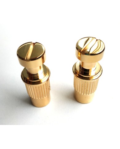 Set mit 2 Schrauben + 2 metrischen Einsätzen Gold, Durchmesser 12mm für Stoptail-Saitenhalter