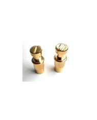 Set mit 2 Schrauben + 2 metrischen Einsätzen Gold, Durchmesser 12mm für Stoptail-Saitenhalter