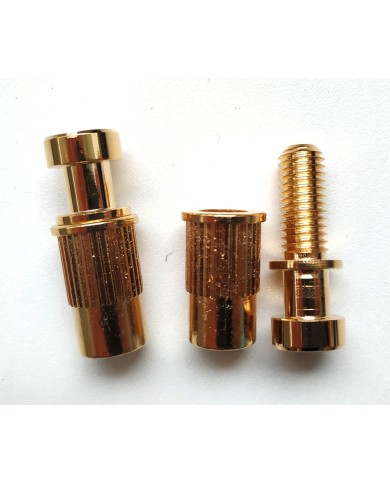 Set mit 2 Schrauben + 2 metrischen Einsätzen Gold, Durchmesser 12mm für Stoptail-Saitenhalter