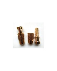 Set mit 2 Schrauben + 2 metrischen Einsätzen Gold, Durchmesser 12mm für Stoptail-Saitenhalter