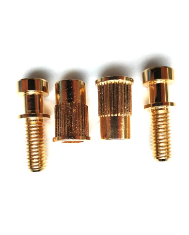 Set mit 2 Schrauben + 2 metrischen Einsätzen Gold, Durchmesser 12mm für Stoptail-Saitenhalter