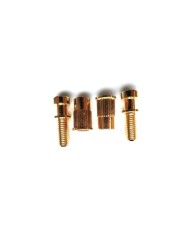 Set mit 2 Schrauben + 2 metrischen Einsätzen Gold, Durchmesser 12mm für Stoptail-Saitenhalter