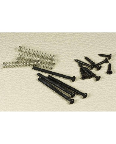 Humbucker-Schraubensatz 4x0.85x30mm, 4x2 Pickup-Einfassungen + Federn, schwarze Schrauben und Federn