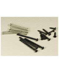 Humbucker-Schraubensatz 4x0.85x30mm, 4x2 Pickup-Einfassungen + Federn, schwarze Schrauben und Federn