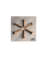 6 Vis Micro Stratocaster Dorees 3.30 mmx18mm