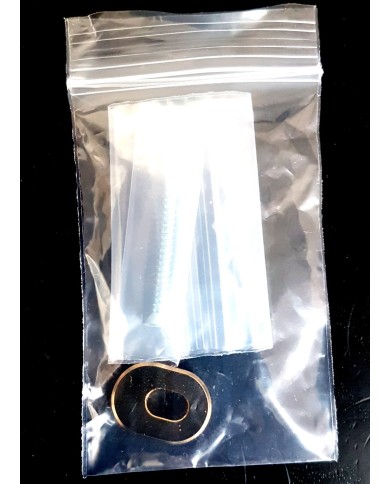 Plaque adaptateur Towner doree pour bigsby