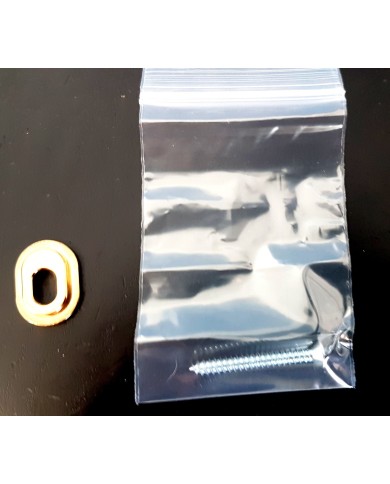 Plaque adaptateur Towner doree pour bigsby