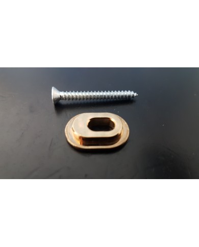 Plaque adaptateur Towner doree pour bigsby