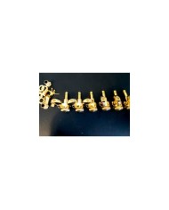 6 in line Gold JinHo locking Machine head, "kidney bean" buttons