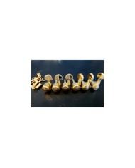 Mecaniques Gaucher 6 en Ligne blocables Gold JinHo, boutons haricot