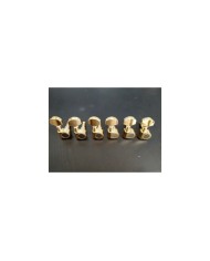 6 in line Gold Machine head, big buttons, ratio 1:15
