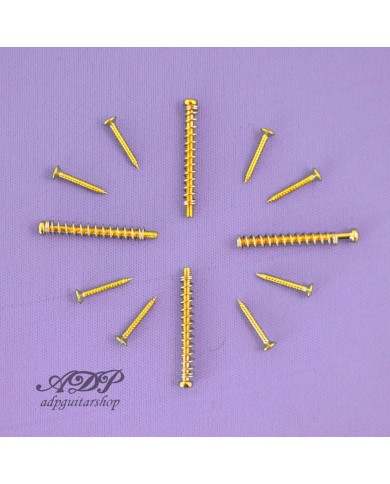 Humbucker-Schraubenset 4x0.85x30mm 8 x Pickup-Rahmen+Federn Schrauben Federn Gold