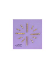 Kit Vis Humbucker 4x0.85x30mm 8 x contours micros+ressorts Screws Springs Gold