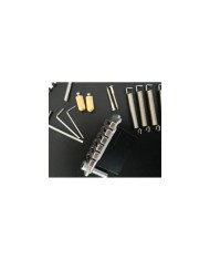 Wilkinson 2-Punkt-Vibrato-Tailpiece WVS50IIK Ruthenium / Satinchrom