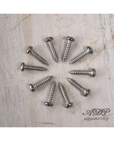 10 Schrauben für Mechaniken, 2.5x9,5mm Nickel