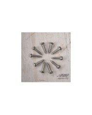 10 Schrauben für Mechaniken, 2.5x9,5mm Nickel
