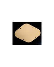 Plaque de Control Electronique creme